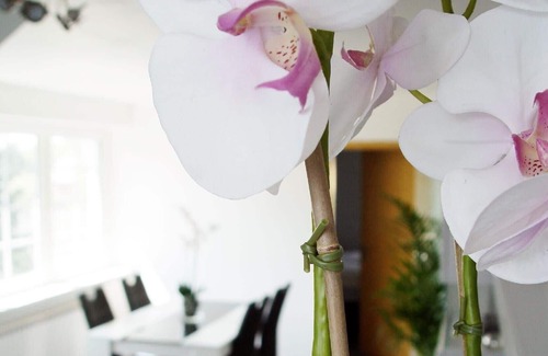 Lotte Apartment | Ferienwohnung/app. für 4 Gäste mit 54m² in Lotte Osnabrück