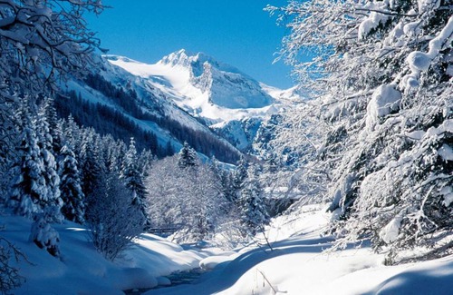 Madseit Apartment | Ferienwohnung Alpenheim