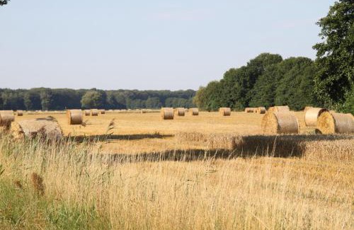 Bleckede Apartment | Ferienwohnung am Elbdeich
