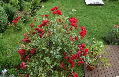 Schnabelwaid Apartment | Ferienwohnung am Wasserschloss