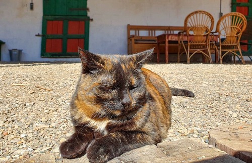 Bad Rodach Apartment | Ferienwohnung/app. für 6 Gäste mit 125m² in Bad Rodach