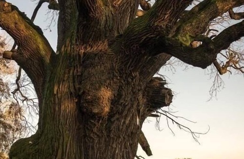 Niedergurig Apartment | Ferienwohnung/app. für 2 Gäste mit 40m² in Malschwitz