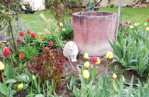 Senftenberg Apartment | Ferienwohnung/app. für 8 Gäste mit 88m² in Imbach