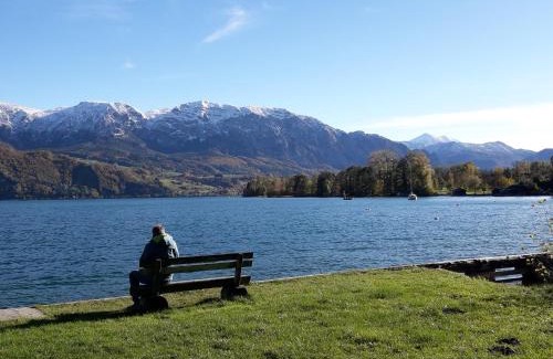 Nussdorf am Attersee Apartment | Ferienwohnung Claudia mit Terrasse