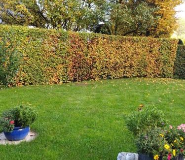 Nussdorf am Attersee Apartment | Ferienwohnung Claudia mit Terrasse