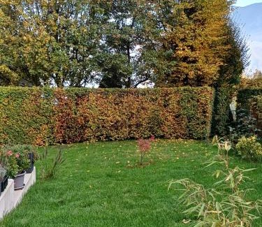 Nussdorf am Attersee Apartment | Ferienwohnung Claudia mit Terrasse