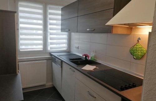 Gelenau Apartment | Ferienwohnung August 24