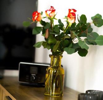 Weissbach an der Alpenstrasse Apartment | Ferienwohnung Bergliebe