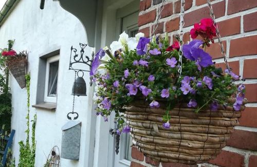 Boren Apartment | Ferienwohnung Brodersen