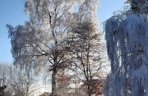 Kirchdorf im Wald Apartment | Ferienwohnung/app. für 4 Gäste mit 68m² in Kirchdorf im Wald