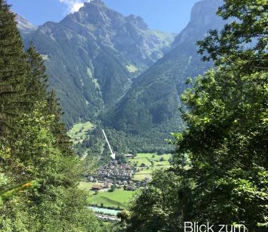 Silenen Apartment | Ferienwohnung Efibach 41