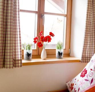 Schonberg Apartment | Ferienwohnung Erhard