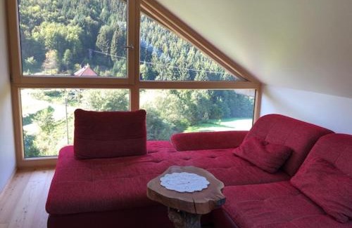 Muehlenbach Apartment | Ferienwohnung HOF