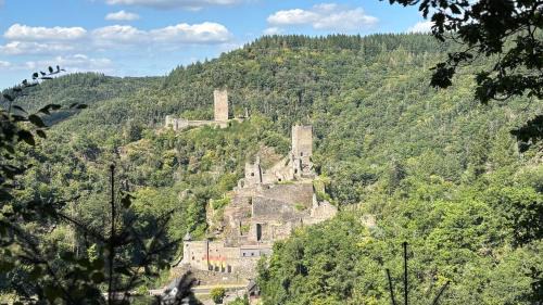 Eckfeld Apartment | Ferienwohnung Kirschbaum
