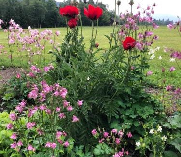 Gitschtal Apartment | Ferienwohnung Lassendorf