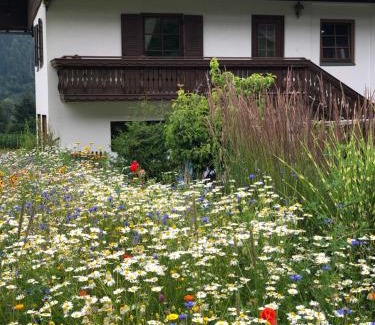 Gitschtal Apartment | Ferienwohnung Lassendorf