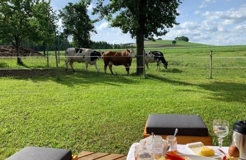 Peherstorf Apartment | Ferienwohnung-Mühlviertel