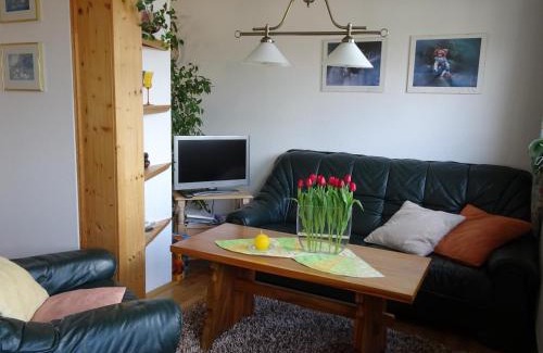 Rauenstein Apartment | Ferienwohnung Panorama