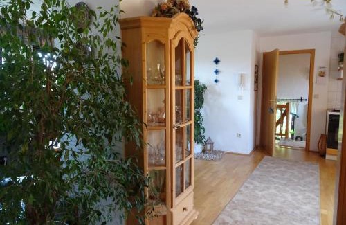 Rauenstein Apartment | Ferienwohnung Panorama