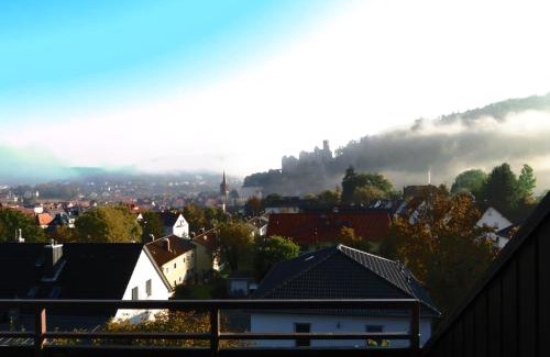 Wertheim Apartment | Ferienwohnung Panorama