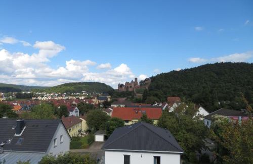 Wertheim Apartment | Ferienwohnung Panorama