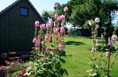 Bunsdorf Apartment | Ferienwohnung Schröder