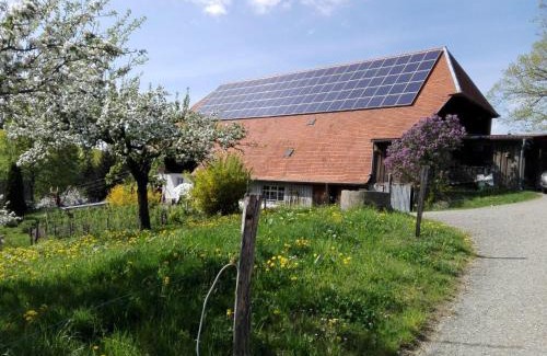 Horben Apartment | Ferienwohnung-Stadtblick