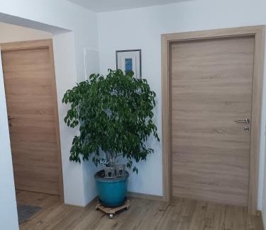 Bodensdorf Apartment | Ferienwohnung Trauntschnig