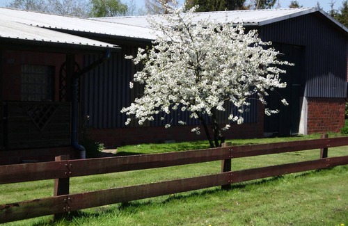 Holste Apartment | Ferienwohnung Verdenhalven