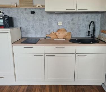 Biesnitz Apartment | Ferienwohnung Willy