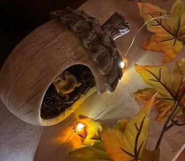 Busenberg Apartment | Ferienwohnung Zum Drachenfels