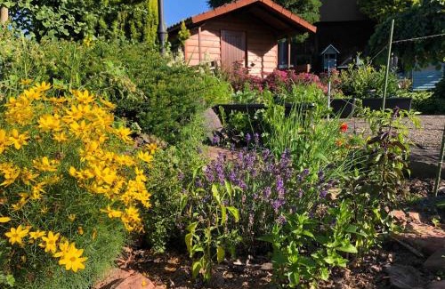 Reisenbach Apartment | Ferienwohnung Zum Eduardstal