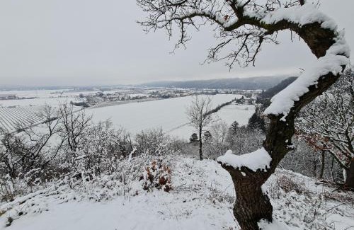 Coswig Apartment | Ferienwohnungen an der Bosel