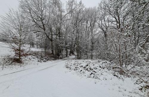 Coswig Apartment | Ferienwohnungen an der Bosel