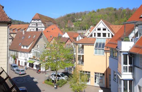 Schwaebisch Gmuend Apartment | Ferienwohnungen-Gmuend Stadtherberge Mühlbergle