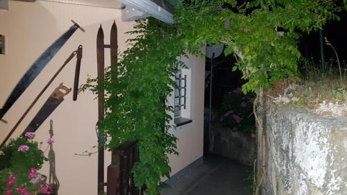 Prossen Apartment | Ferienwohnungen "Gründelrast"