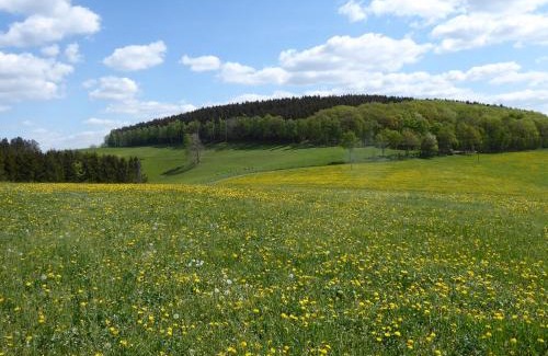 Rhode Apartment | Ferienwohnungen Schimsheimer Rhode