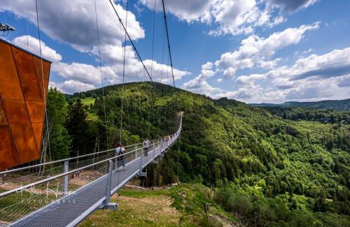 Muggenbrunn Apartment | Fewo "am Mühlenbach" im Haus Hohfels, 2 Schlafzimmer, Todtnau-Muggenbrunn, Hochschwarzwald
