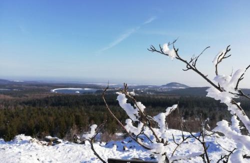 Waldidylle Apartment | Fewo bei Reuters - Haus Tellkoppe