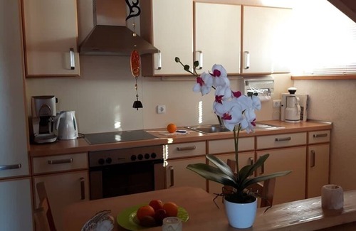 Waldmuenchen Apartment | Fewo mit großem Garten mit zwei Terrassen, Liegewiese und Grillmöglichkeit