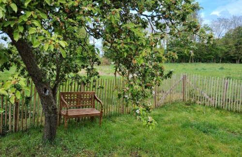 Selmsdorf Apartment | Fewo nahe der Ostsee bei Lübeck