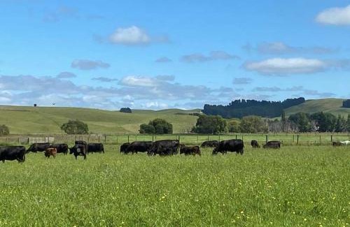 Timaru District House | Field and Fleece Farm Stay by Tiny Away