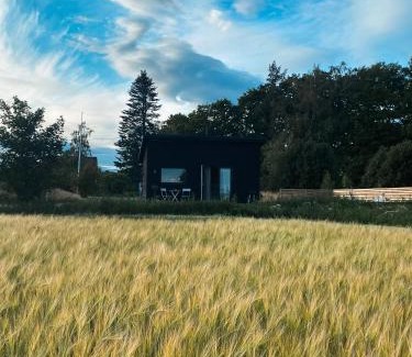 Orebro House | Field View Cabin