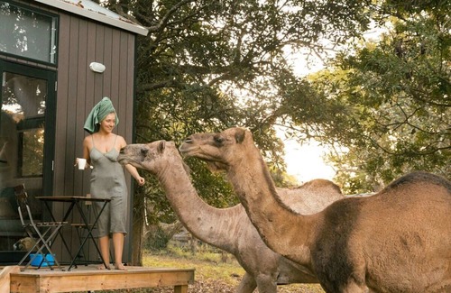 Darlington House | Fig Tree Cottage by Tiny Away