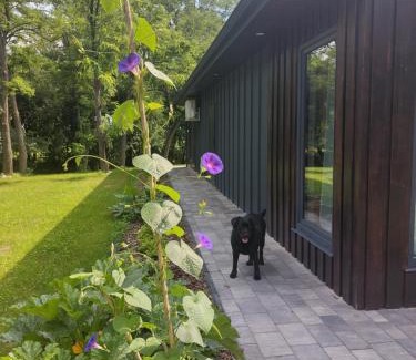 Zamosc Ski Chalet | Figarnia na Roztoczu