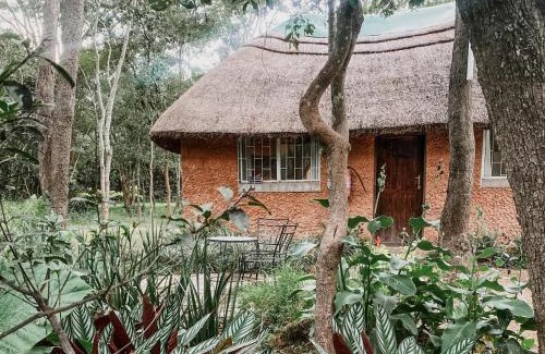 Central Cabin | Fika Lodge