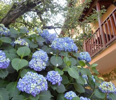 Tsagarada Hotel | Filoxenia