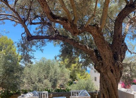 Skliri Apartment | Filoxenia Studios