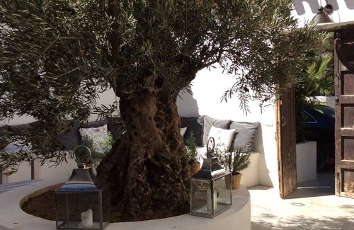 Mula House | Finca del Calderero del Saliente