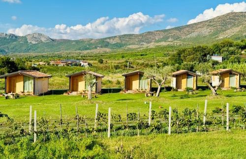 Sakës House | Fishta Guesthouse - Mrizi i Zanave